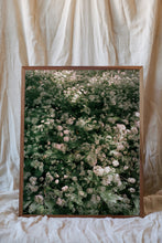 Load image into Gallery viewer, Flowers # 34