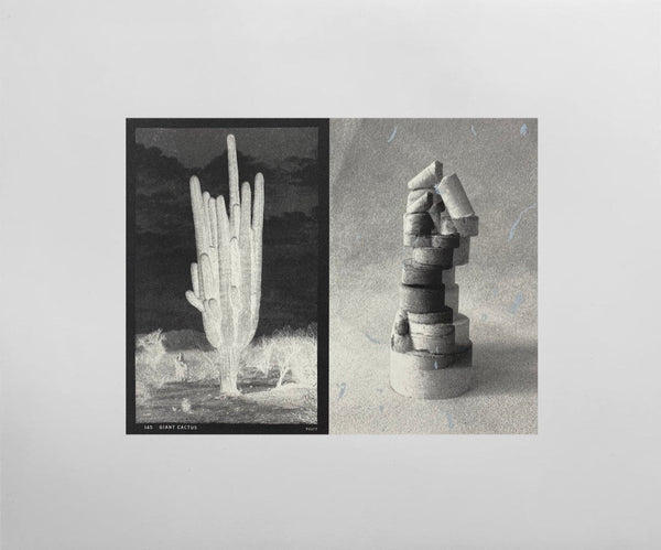145 Giant Cactus