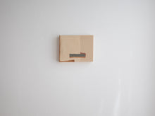 Load image into Gallery viewer, Echo Chamber