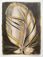 Load image into Gallery viewer, A Message in Ochre