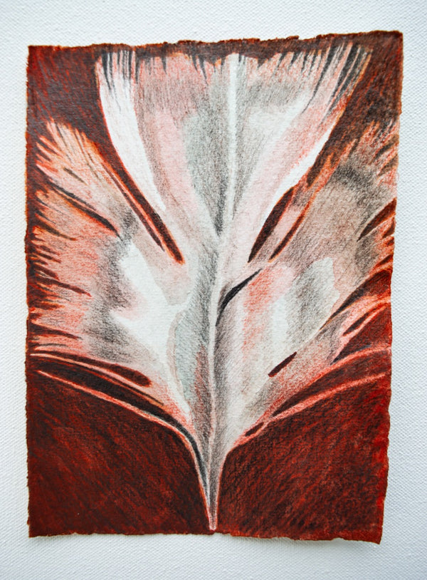 A Message in Red