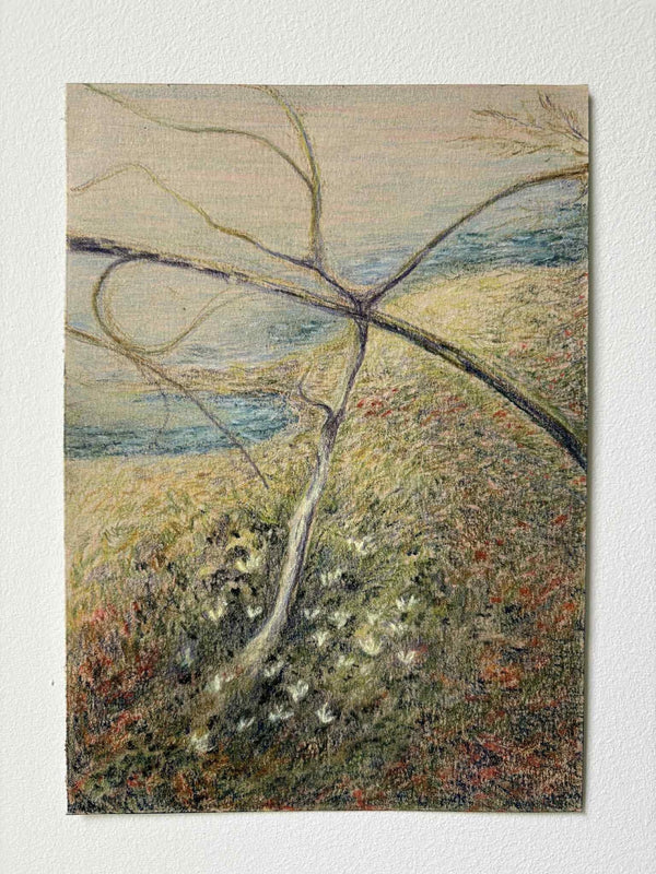 A bit of spring, small and bright