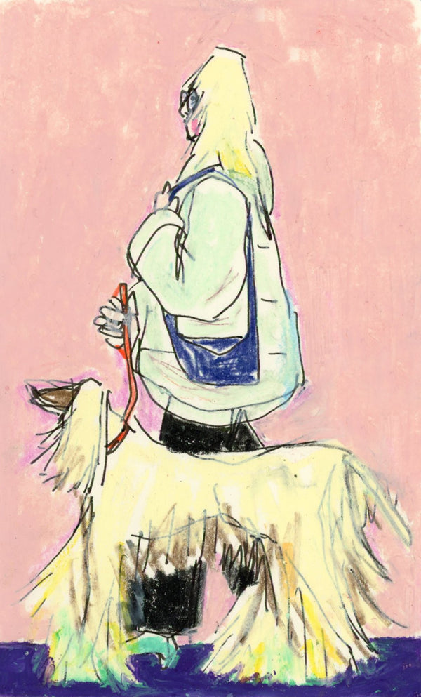 Afghan Hound (Framed)