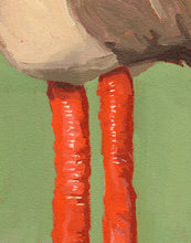 Load image into Gallery viewer, Anatomical