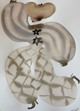 Load image into Gallery viewer, Binky