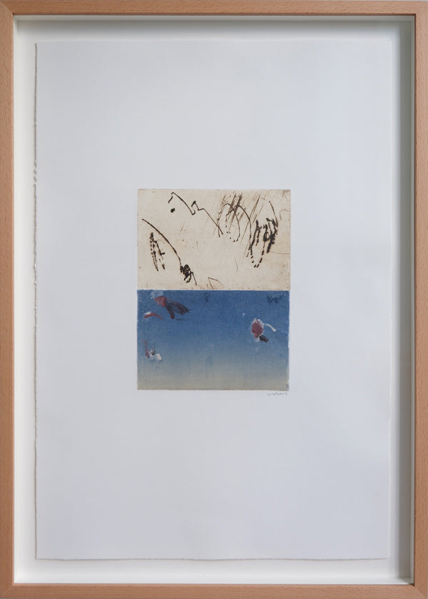 Celestino (Framed)