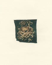 Load image into Gallery viewer, Chrysanthemum (Framed)
