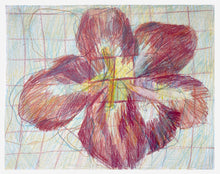 Load image into Gallery viewer, Close up II