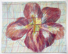 Load image into Gallery viewer, Close up II