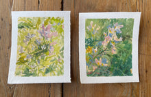 Load image into Gallery viewer, Cuckoo flowers Afternoon