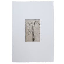 Load image into Gallery viewer, Del Centro
