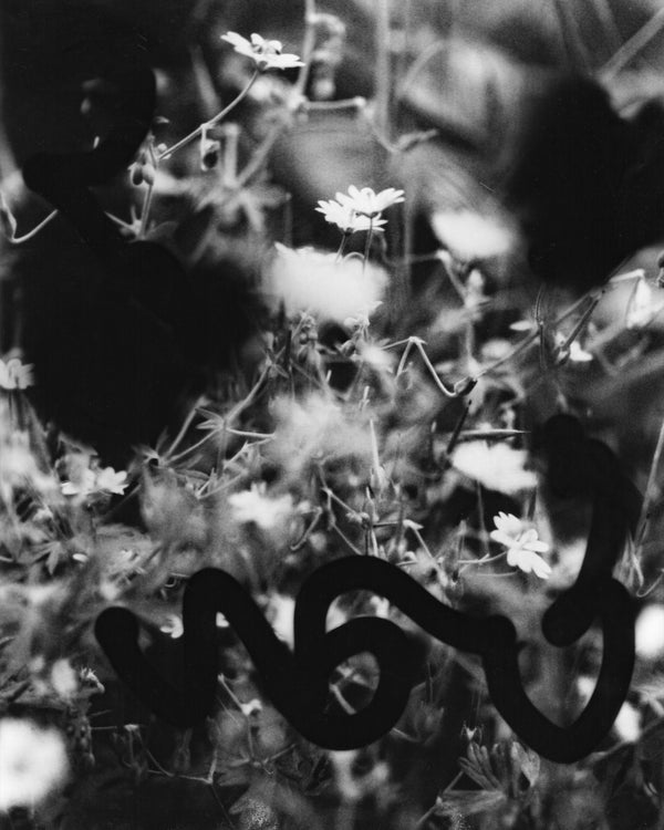 Flowers #3