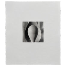 Load image into Gallery viewer, Foco
