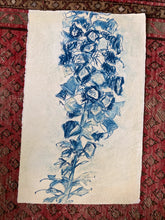 Load image into Gallery viewer, Foxglove Chalk Study I