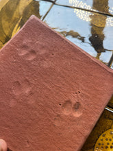 Load image into Gallery viewer, 'Honey beast' small tile panel