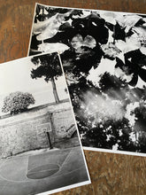 Load image into Gallery viewer, Basketball Court in Corfu