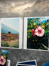Load image into Gallery viewer, The West, Summer, 2024