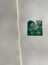 Load image into Gallery viewer, Hellebore (Framed)