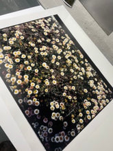 Load image into Gallery viewer, Daisies, Diptych II