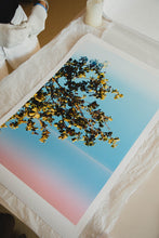 Load image into Gallery viewer, Lockdown, Ireland, 2020