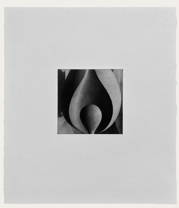 Llama A