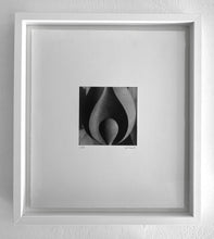 Load image into Gallery viewer, Llama A