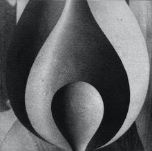 Load image into Gallery viewer, Llama A