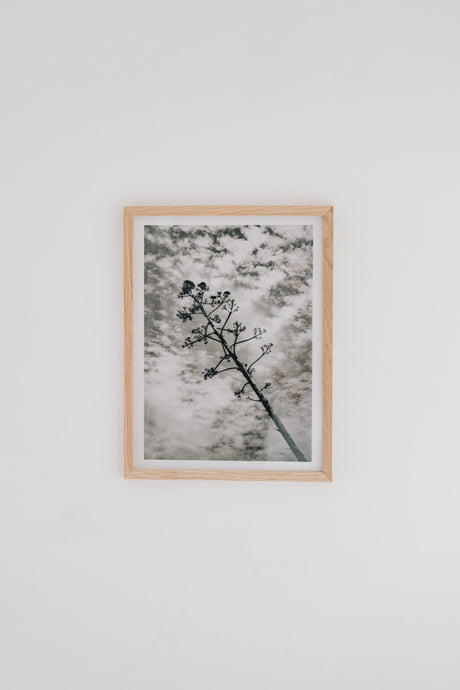 Sky Branch (Framed Artist Proof)