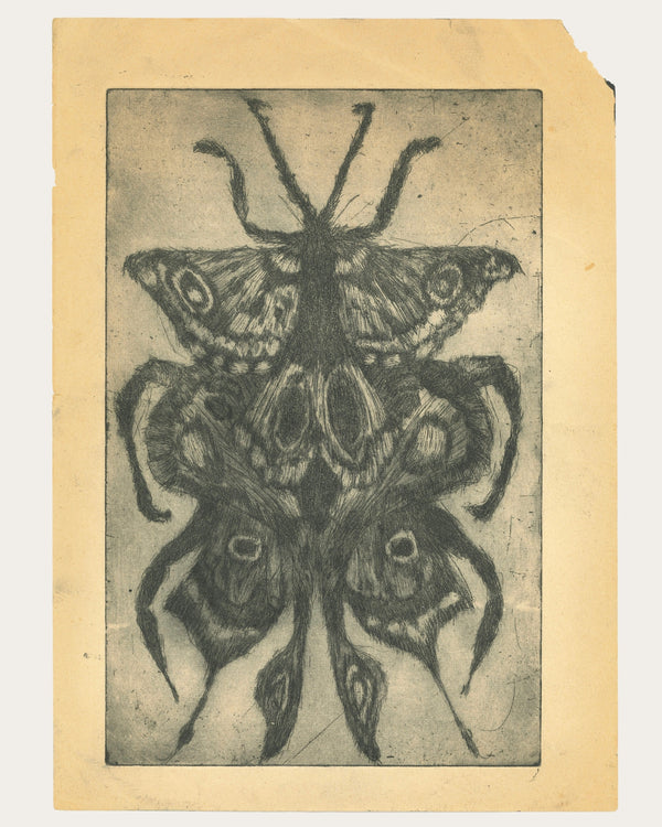 Moth