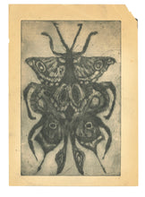 Load image into Gallery viewer, Moth