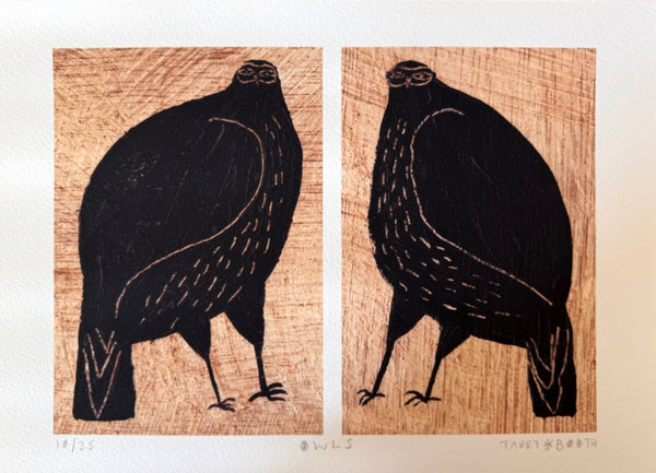 OWLS (Print)