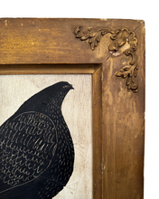 Load image into Gallery viewer, PIGEON (Framed)