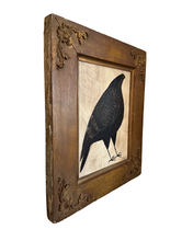 Load image into Gallery viewer, PIGEON (Framed)