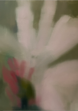 Load image into Gallery viewer, Faded Petals Print