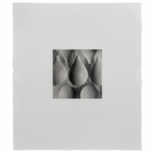 Load image into Gallery viewer, Coincidencia