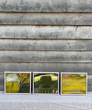 Load image into Gallery viewer, Trees in Kyrgyzstan (Framed)