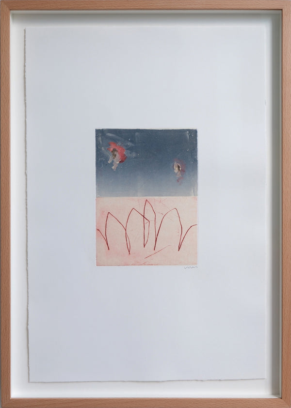 Terciopelo (Framed)
