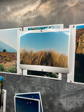 Load image into Gallery viewer, The Marram Grass, Sennen, 2025