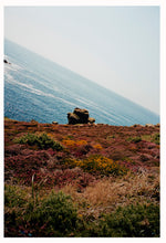 Load image into Gallery viewer, The West, Summer, 2024