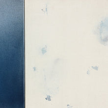 Load image into Gallery viewer, Transition II (Framed)