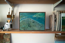 Load image into Gallery viewer, Tricks of Light (Framed)