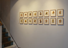 Load image into Gallery viewer, Woven walks 1 (Framed)