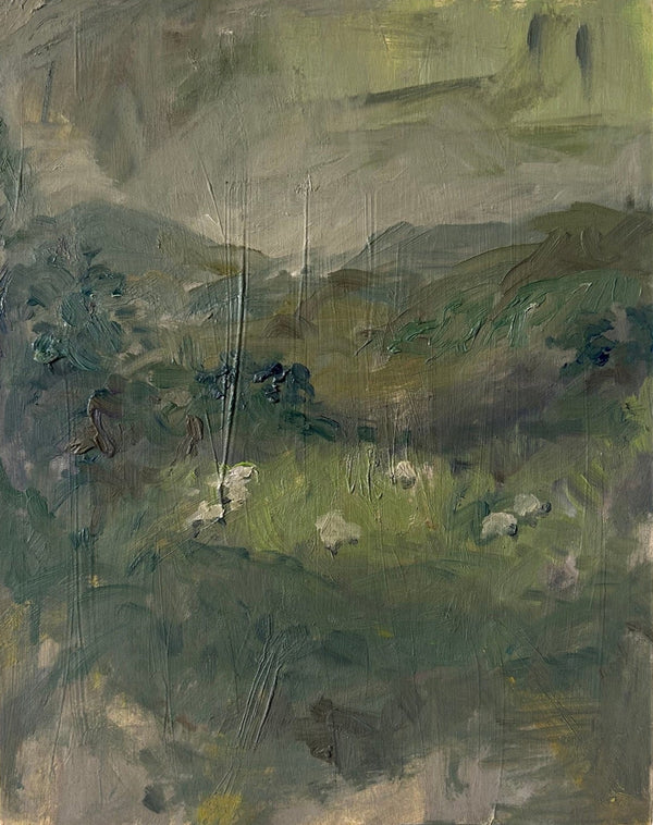 Rain and sheep