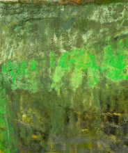 Load image into Gallery viewer, Shadows in the Bayou