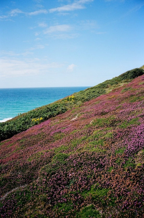 Cornwall 2020 | Lily Bertrand-Webb | Photography | Partnership Editions