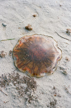 Load image into Gallery viewer, Jomfruland