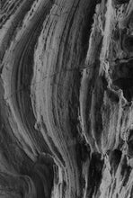 Load image into Gallery viewer, 6979617