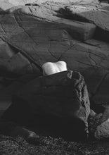 Load image into Gallery viewer, Portør 3