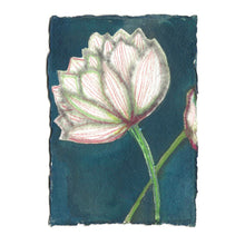 Load image into Gallery viewer, Blue Lotus