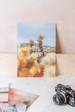 Load image into Gallery viewer, Cholla Cactus